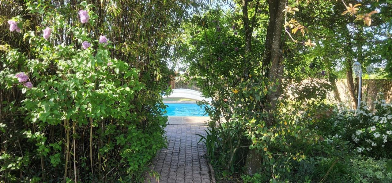 Le Petit Lavoir - Joli Studio A Mayet Exteriör bild